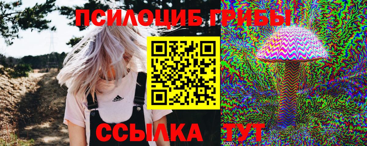 Псилоцибиновые грибы MAGIC MUSHROOMS  Вход с VPN  Галлюциногенные грибы GOLDEN TEACHER  Лениногорск 